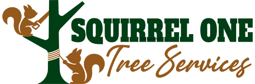Squirrel One Tree Services