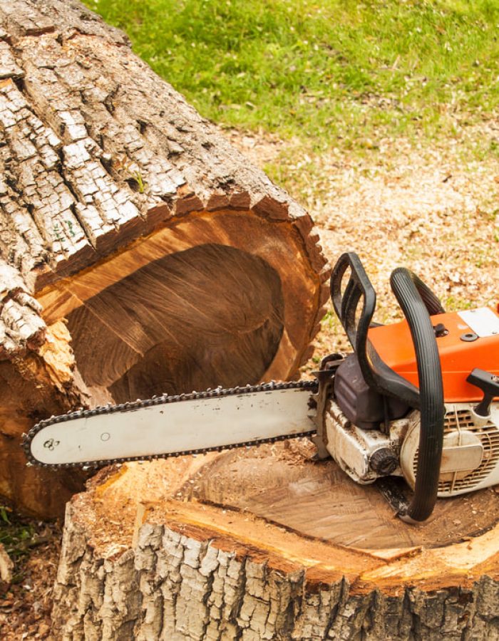 Tree-Services0